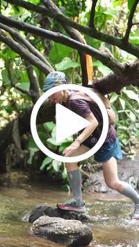 BIB:  <button type="button" onclick="openModal(27825475)" class="btn btn-primary btn-sm float-right" data-toggle="modal" data-target=".modal-high-quality">
                <i class="fa fa-download"></i> Download
                </button>